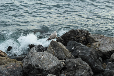 Similar image 22770030