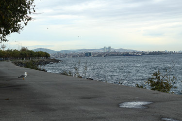Similar image 22770031