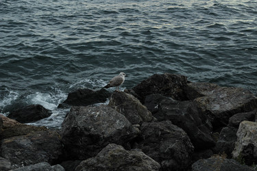 Similar image 22770054