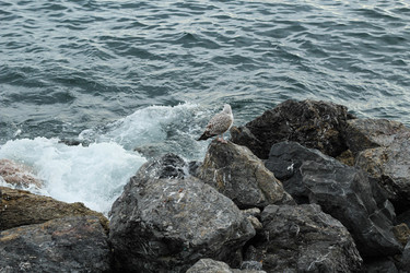 Similar image 22770055