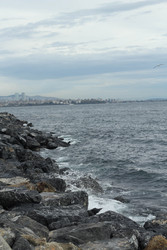 Similar image 22770089