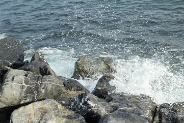 Similar image 22770100