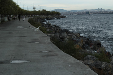 Similar image 22770102