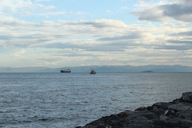 Similar image 22770120