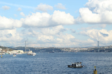 Similar image 22770134