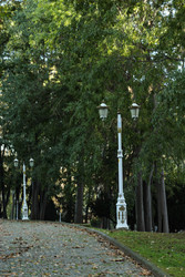 Similar image 22770194