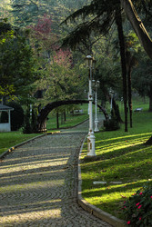 Similar image 22770196