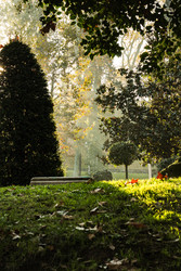 Similar image 22770198