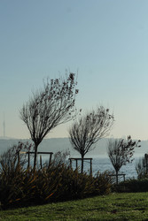 Similar image 22770199