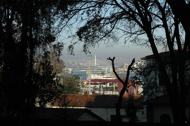 Similar image 22770210