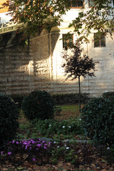 Similar image 22770228