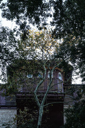 Similar image 22770239