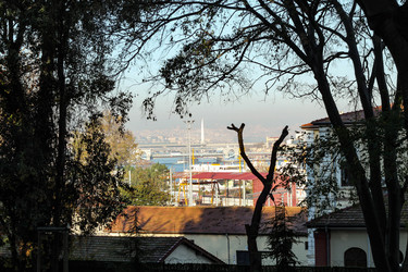 Similar image 22770240