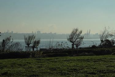 Similar image 22770242