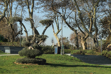 Similar image 22770249