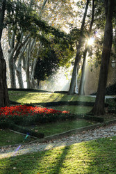 Similar image 22759554