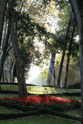 Similar image 22759558