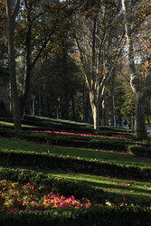 Similar image 22769731