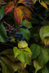 Similar image 22769733