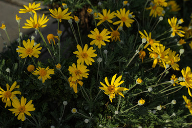 Similar image 22769734