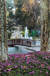 Similar image 22769746