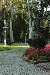 Similar image 22769748