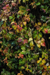 Similar image 22769749