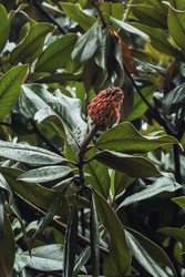 Similar image 22769750
