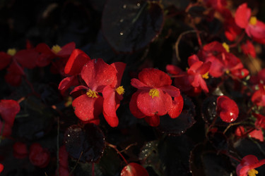 Similar image 22769758
