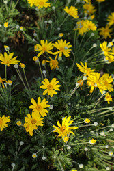 Similar image 22769759