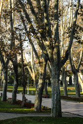 Similar image 22769760