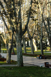 Similar image 22769761