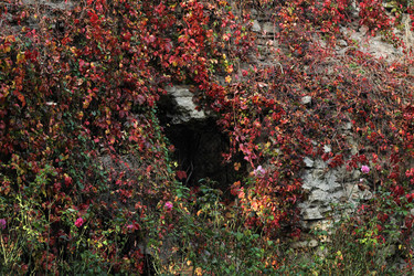 Similar image 22769763