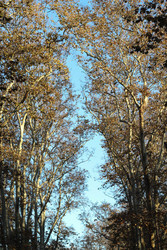 Similar image 22769764