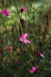 Similar image 22769765