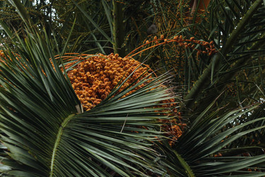 Similar image 22769777