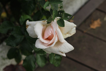 Similar image 22769779