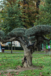 Similar image 22769792