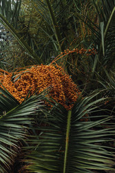 Similar image 22769795