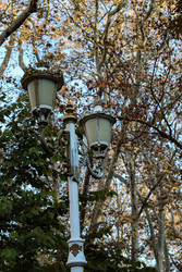 Similar image 22769805
