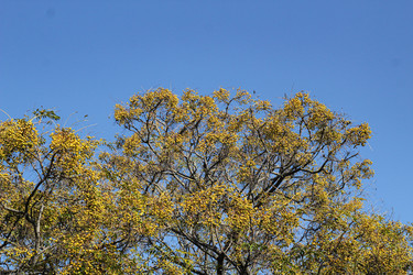Similar image 22769806