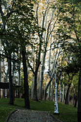 Similar image 22769807
