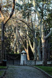 Similar image 22769810