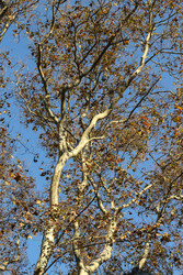 Similar image 22769821