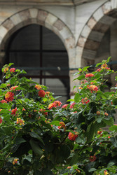 Similar image 22769822