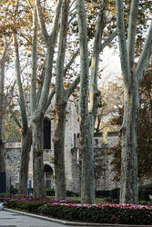 Similar image 22769823