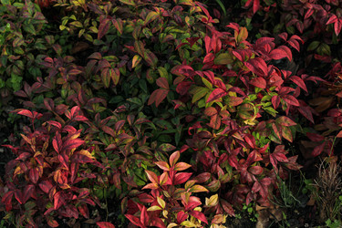 Similar image 22769835