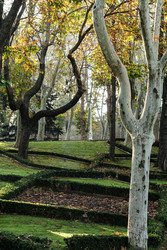Similar image 22769838