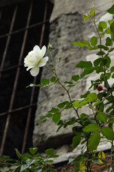 Similar image 22769840