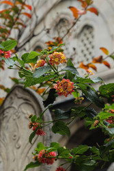 Similar image 22769850